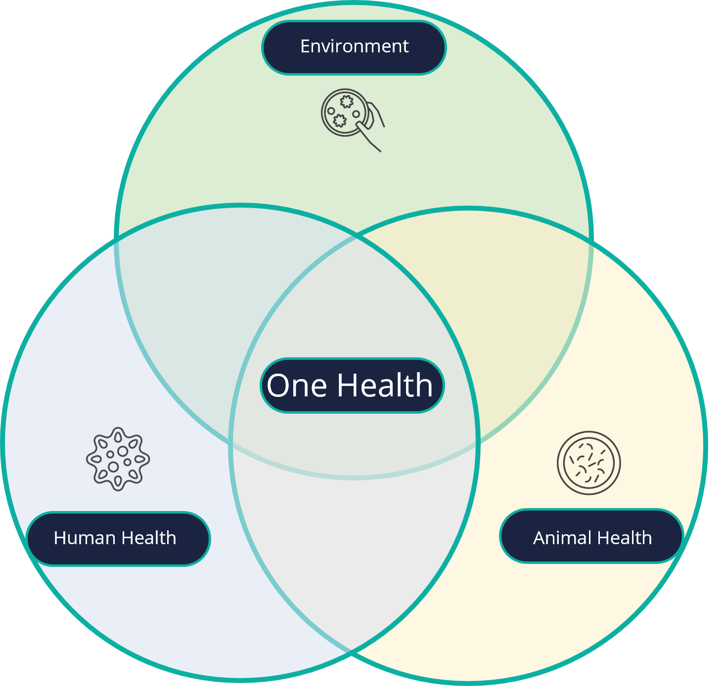 The One Health Concept And Its Two Pillars Vibiosphen